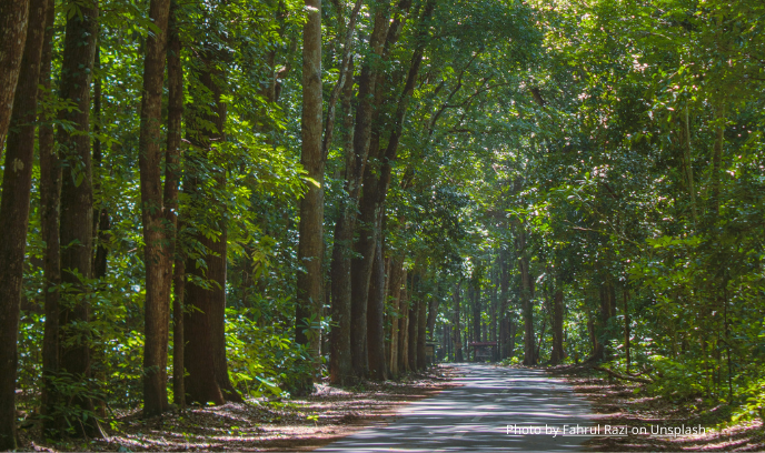 Paket Wisata Banyuwangi