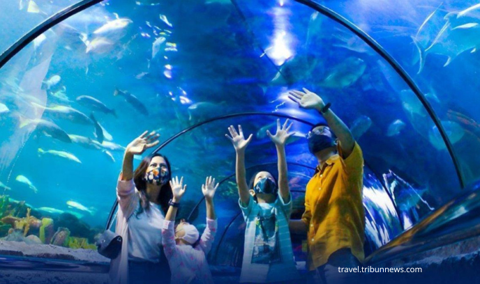 Paket Wisata Jakarta